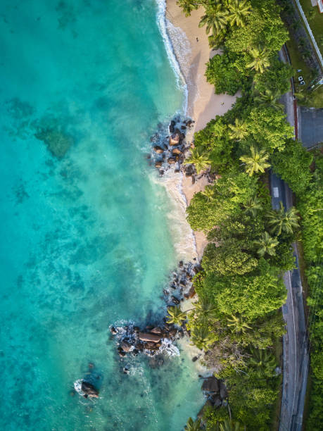 Beach at Seychelles aerial top view stock photo