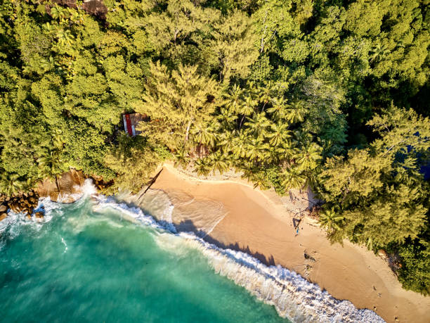 istock Beach at Seychelles aerial top view 1192940332