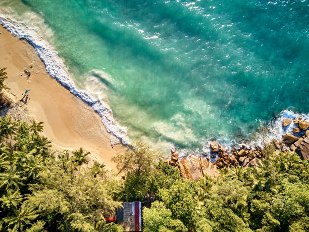 istock Beach at Seychelles aerial top view 1192940852
