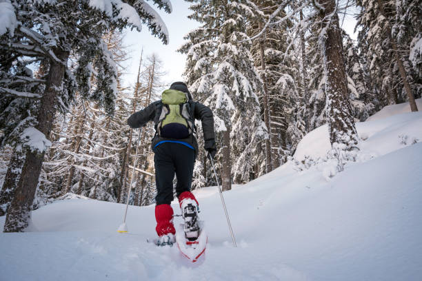 trekking invernale in una bellissima giornata di sole. parco nazionale del gran paradiso, italia - winter snowshoeing running snowshoe foto e immagini stock