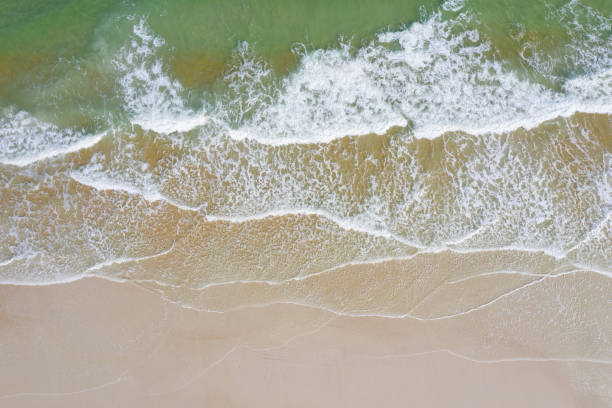 istock Aerial View of Ocean Waves 1192941385