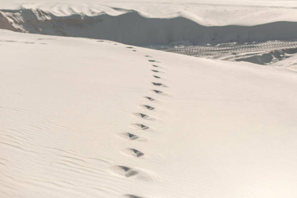 istock Footprints in the sandy desert close up. 1192943608
