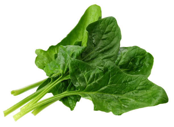 istock spinach leaves isolate on white background. Healthy food. 1192948140