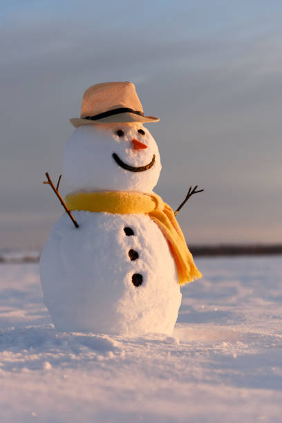 istock Funny snowman in black hat 1192950669