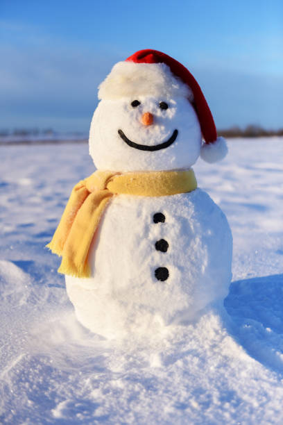 istock Funny snowman in red hat 1192950673