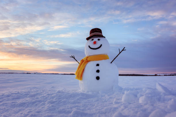 istock Funny snowman in black hat 1192950674