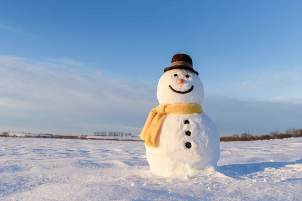 istock Funny snowman in black hat 1192950685