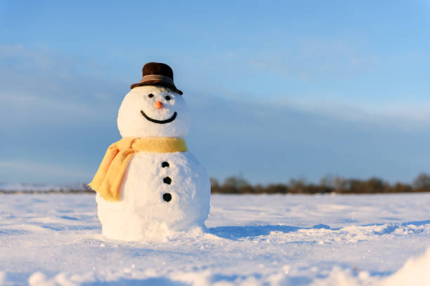 istock Funny snowman in black hat 1192950746