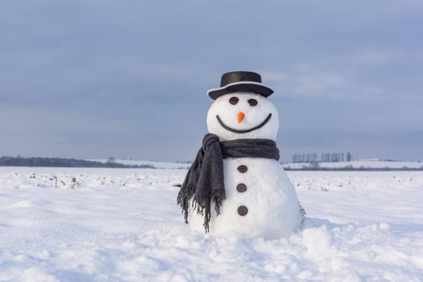 Funny snowman in black hat
