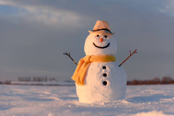 istock Funny snowman in black hat 1192950798