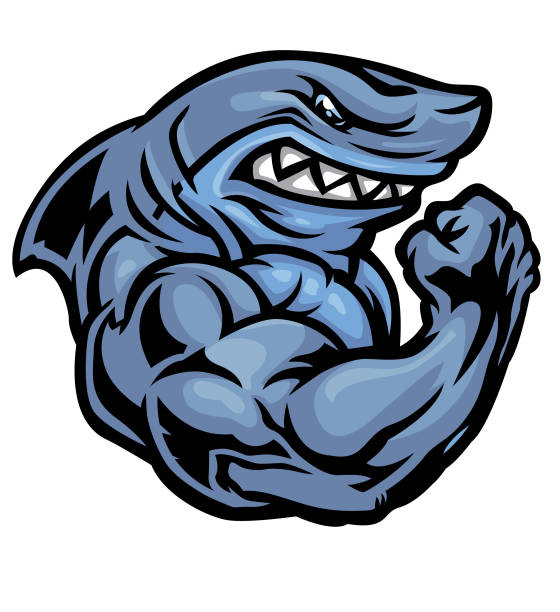 Shark Flexing A powerful muscular shark flexing biceps femoris stock illustrations