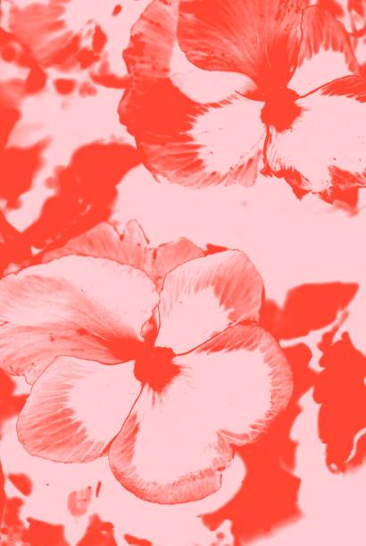 Bright Punchy Monochrome Floral Background in a Minimalist Duotone Look for a Modern Style.