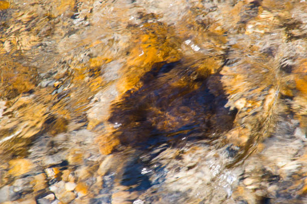 istock Water streaming fast over rocks in a riverbed 1192955362
