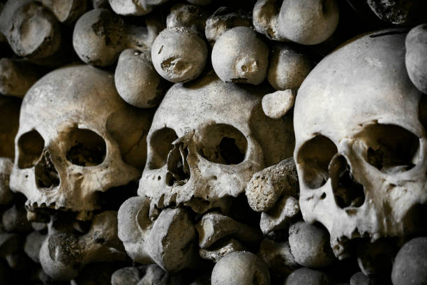istock Human skulls and bones. Gloomy photo. Death 1192957069