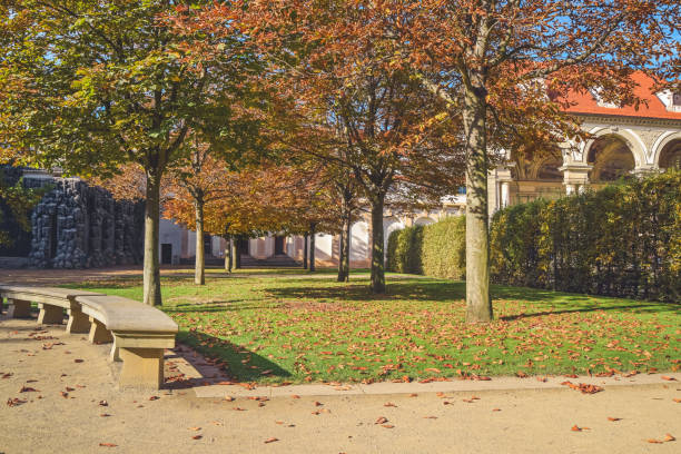 istock Garden in autumn colors II 1192965526