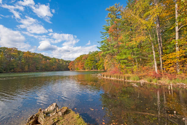 istock Colorful Trees on a Calm Fall Day 1192967211