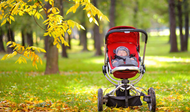 Baby sleeping in stroller in park Sweet little baby boy sleeping in stroller in autumn park buggy eyes stock pictures, royalty-free photos & images