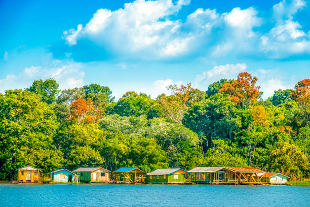 Riverside population in the Amazon region