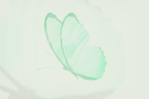 The butterfly (Papillio maackii) and red wildflowers. Seamless pattern on green background.