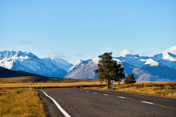istock Empty Road Leading to Snow Capped Mountains 1192980630