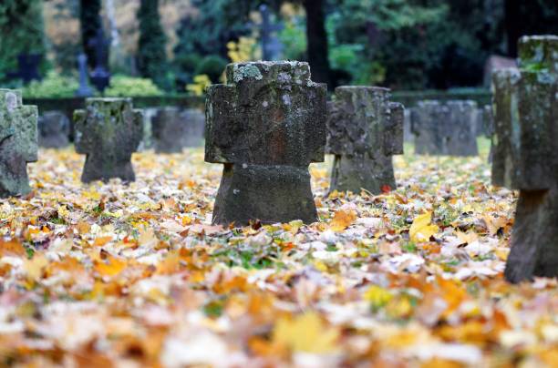 istock graves of a military cemetery 1192983982