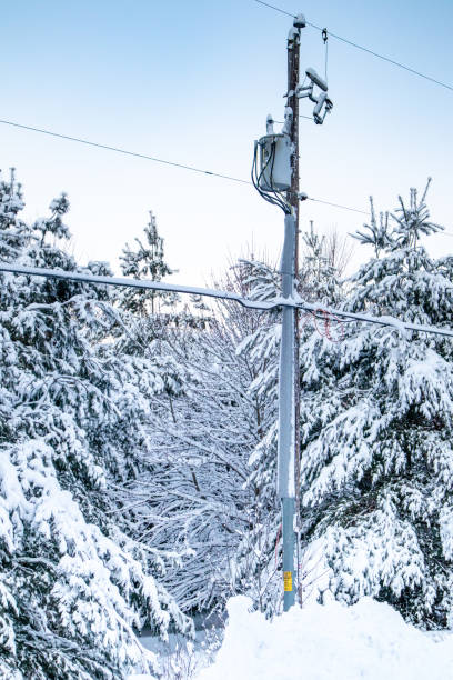 istock Snow covered trees and powerlines after a snowstorm vertical 1192987011