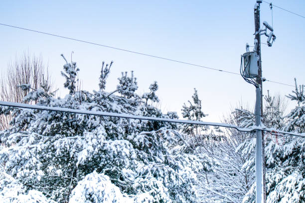 istock Snow covered trees and powerlines after a snowstorm 1192987029
