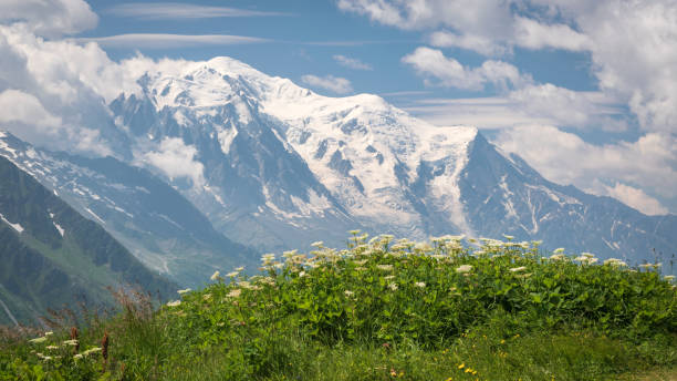 Majestic massif of Mont Blanc, seen from Col de Balme at the Franco-Swiss border. stock photo