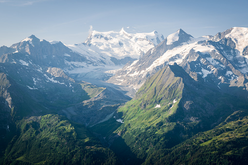 Glacier flows from majestic, white peaks to green meadows an forests.