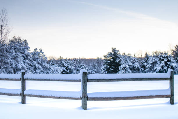 istock Snow covered fence in front of a forest 1192987101