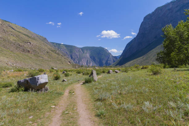 istock Altay mountains valley with huge stones 1192990876