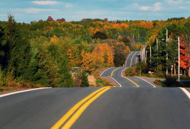 istock Autumn Road Trip 1192991999