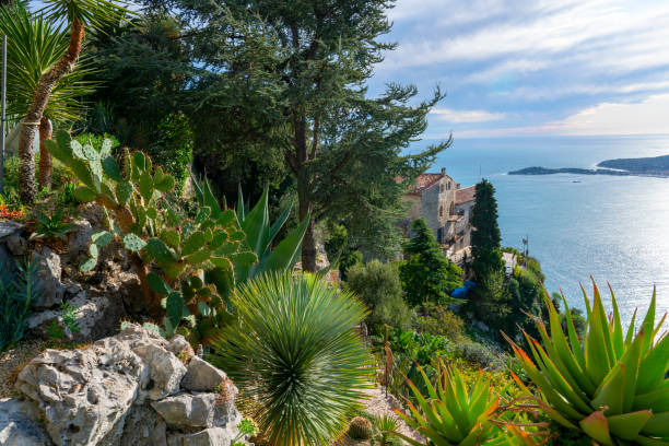istock Botanical Garden of Eze 1192994210