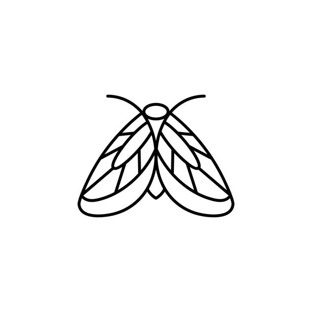 ilustrações de stock, clip art, desenhos animados e ícones de moth icon outlines in a minimalist style. vector linear insect logos for beauty salons, manicure, massage, spa - summer backgrounds line art butterfly