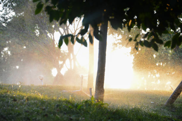 Sprinkler system irrigates grass automatically in downtown Guzhen of Zhongshan,Guangdong,China.