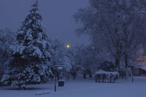 istock Cherry trees in winter in Kitakami, Iwate Prefecture 1193006911