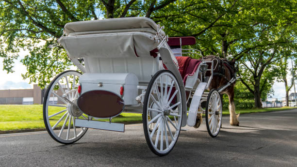 istock Horse and a carriage seen from behind. 1193008950