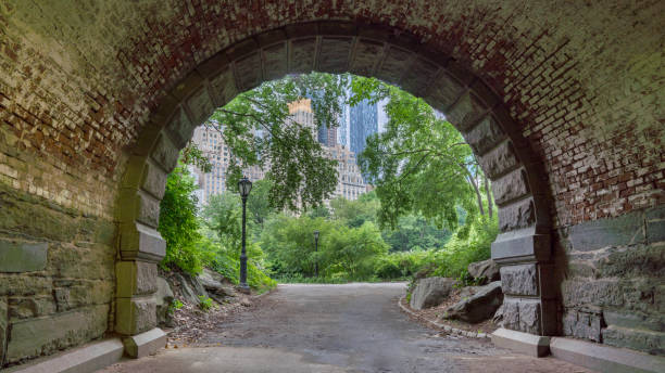 istock New York, USA. Central Park. 1193009120