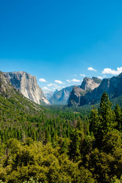 Tunnel view of the Yosemite National Park, Beautiful forrest landscape with blue sky background Tunnel view of the Yosemite National Park with pine trees and blue sky background, Beautiful landscape with forrest, mountain, and blue-sky yosemite falls stock pictures, royalty-free photos & images
