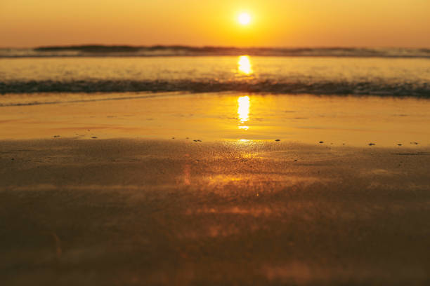 istock Beautiful Sunset at Arambol Beach. Blurred image 1193019238