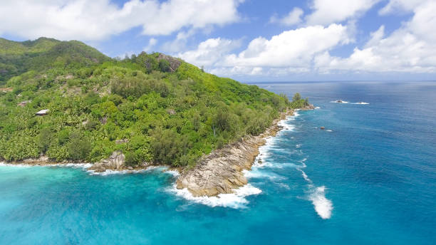 istock Seychelles coastline aerial view 1193027053