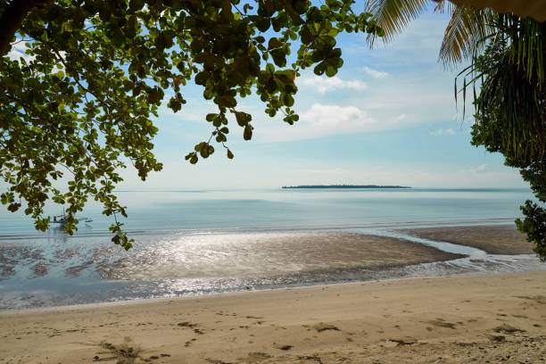 istock East coast of Palawan (Philippines) at sunset 1193027230