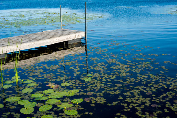 Wooden dock with lounge chair on pier on the calm lake in the middle of the forest. banner