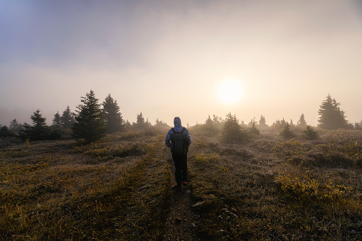 Man traveler standing with the sun in foggy on trail in autumn forest