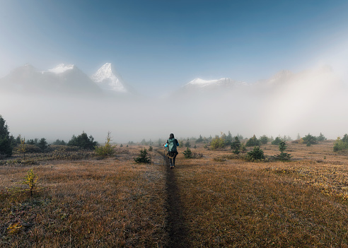 Man backpacker trekking on field with rocky mountains in foggy at provincial park, Canada