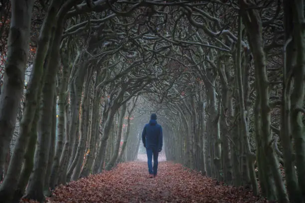 Photo of Walking in a autumn tunnel