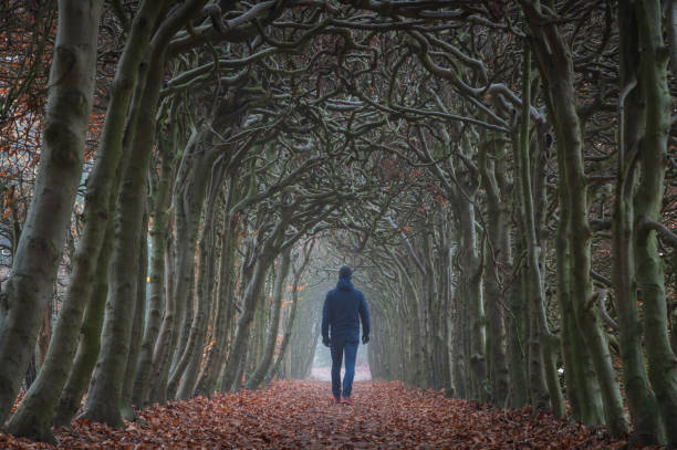 istock Walking in a autumn tunnel 1193028687