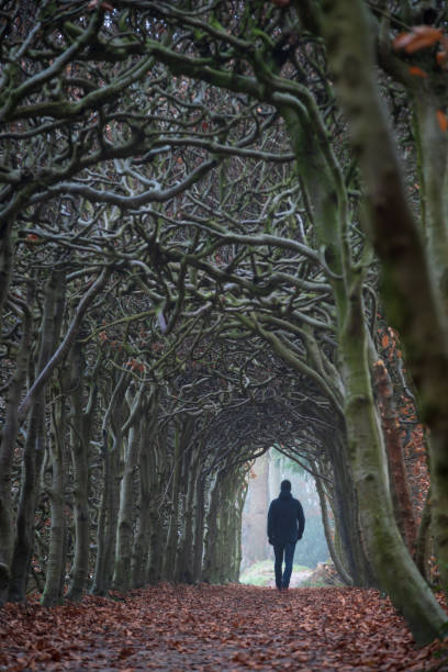 istock Walking in a autumn tunnel 1193028722