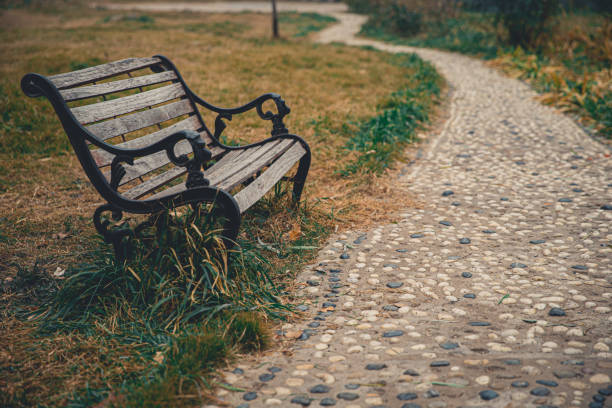 istock Bench In The Park At Autumn 1193028751