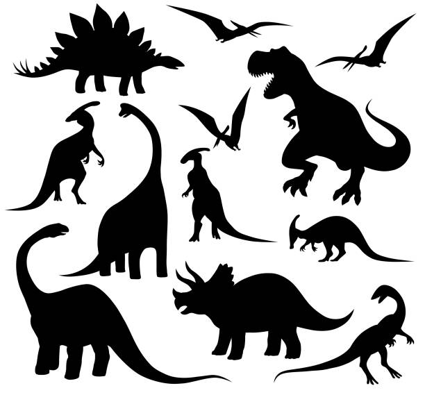 ilustraciones, imágenes clip art, dibujos animados e iconos de stock de conjunto de siluetas de dinosaurios - dinosaurio